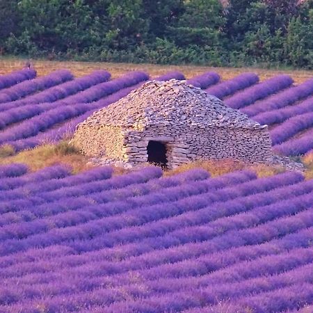 Entre Ventoux Et Luberon Chambre D'Hote Sault-de-Vaucluse Kültér fotó