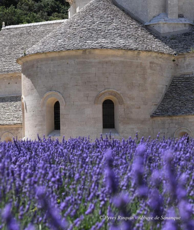 Entre Ventoux Et Luberon Chambre D'Hote Sault-de-Vaucluse Kültér fotó