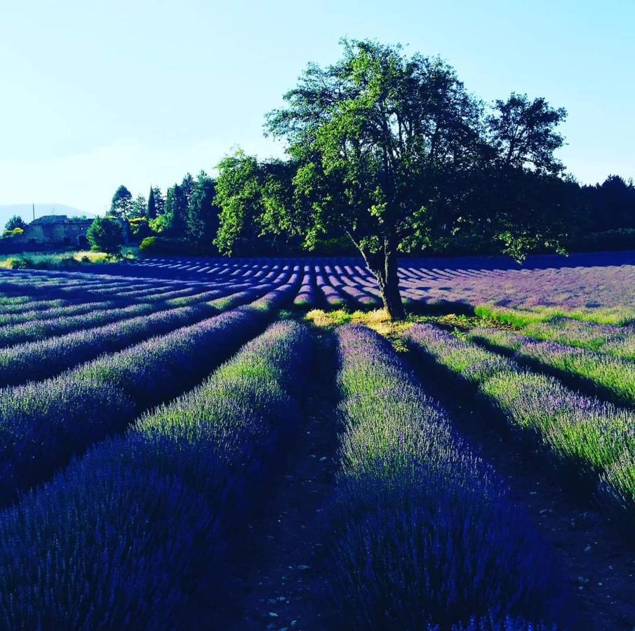 Entre Ventoux Et Luberon Chambre D'Hote Sault-de-Vaucluse Kültér fotó