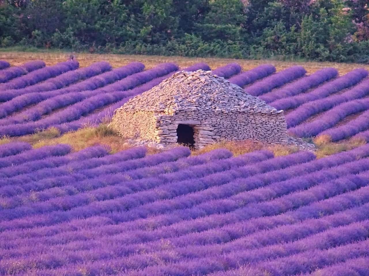 Entre Ventoux Et Luberon Chambre D'Hote Sault-de-Vaucluse Kültér fotó